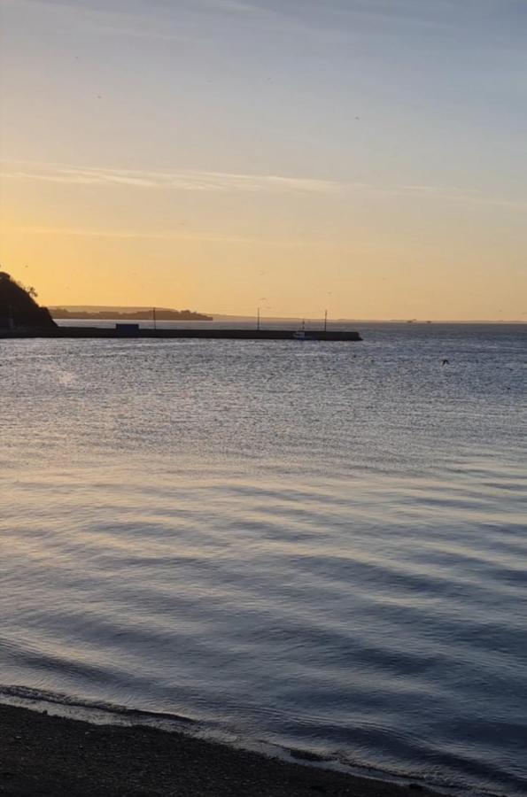 Ballyhack By The Sea Arthurstown Exteriör bild