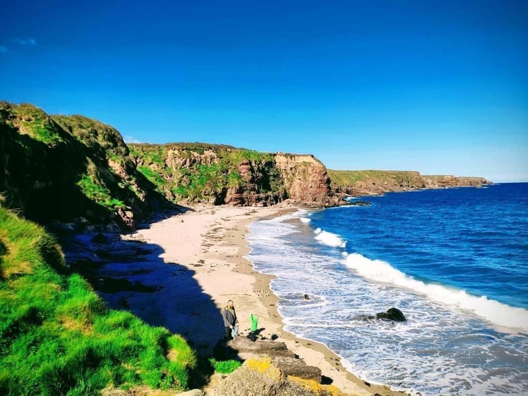 Ballyhack By The Sea Arthurstown Exteriör bild