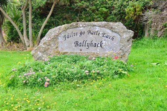 Ballyhack By The Sea Arthurstown Exteriör bild